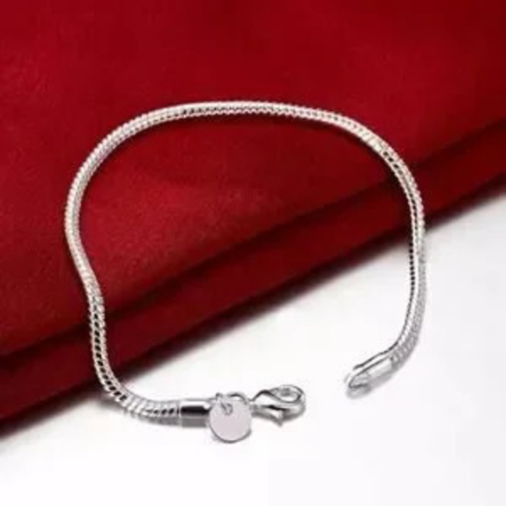925 Sterling Silver Snake Scale Chain Set 3mm Necklace Bracelet Birthday Gift